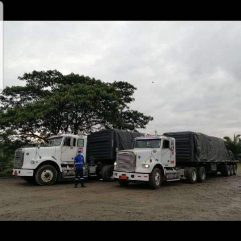 CONSULTINGTRANS_Servicios_016