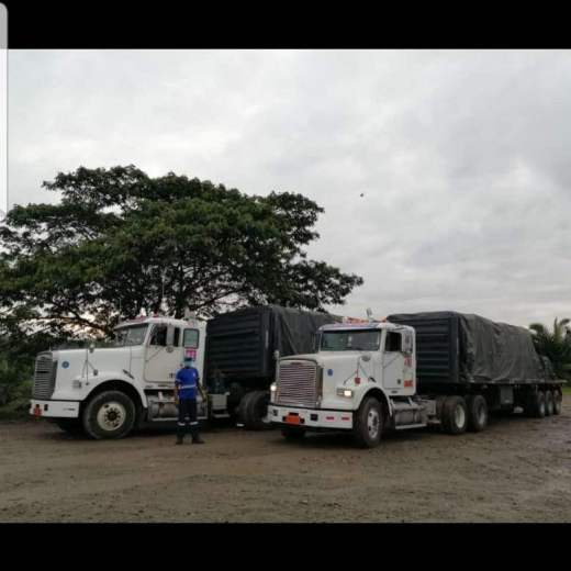 CONSULTINGTRANS_Servicios_016