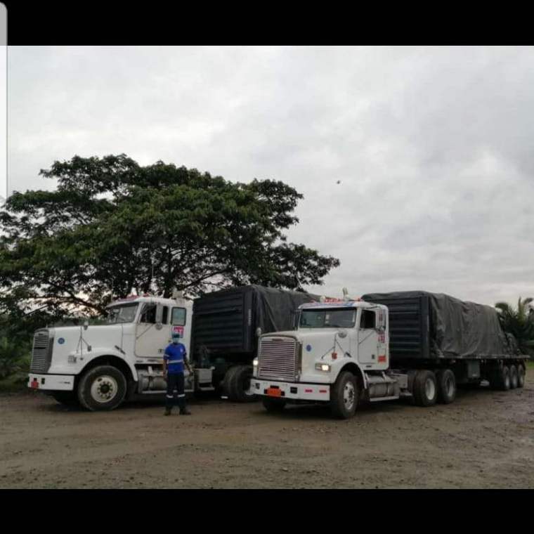 CONSULTINGTRANS_Servicios_016